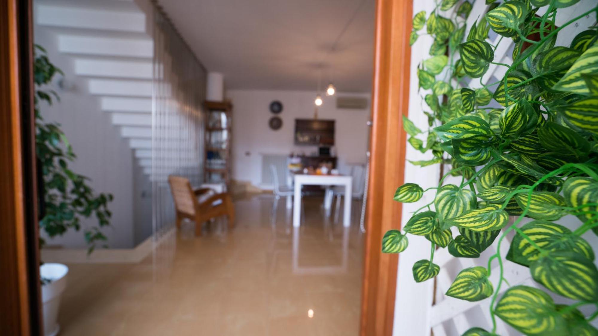 Il Vicoletto Bed and Breakfast Polignano a Mare Εξωτερικό φωτογραφία