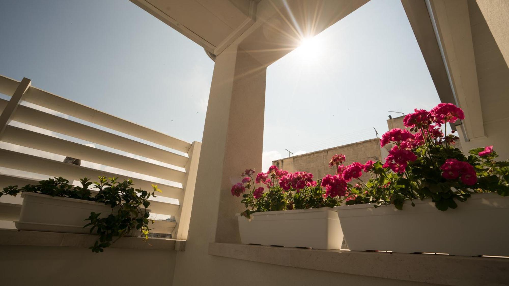 Il Vicoletto Bed and Breakfast Polignano a Mare Εξωτερικό φωτογραφία