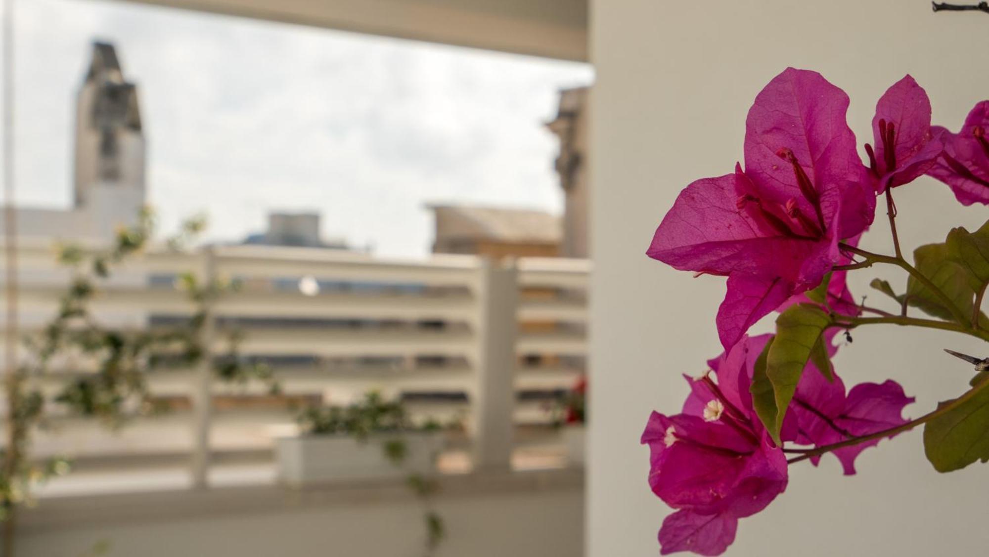 Il Vicoletto Bed and Breakfast Polignano a Mare Εξωτερικό φωτογραφία